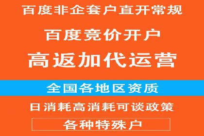百度优化推广案例：打造行业领先品牌